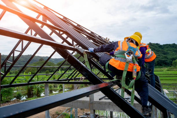 Best Roof Gutter Cleaning  in Lake Kerr, FL