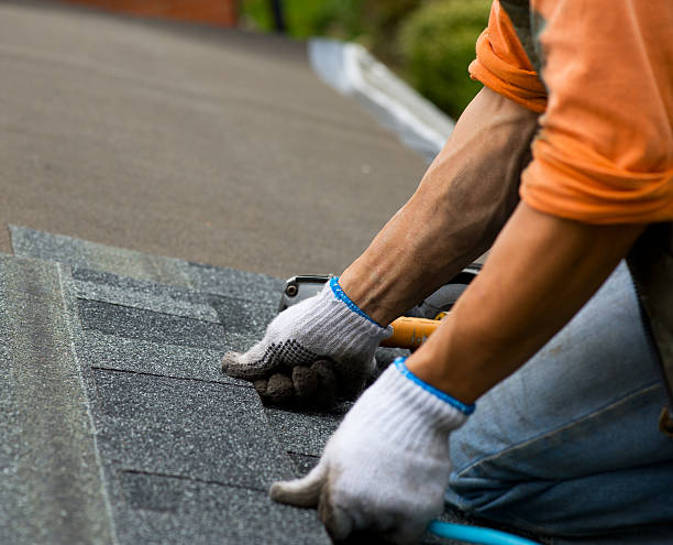 Best Shingle Roofing Installation  in Lake Kerr, FL