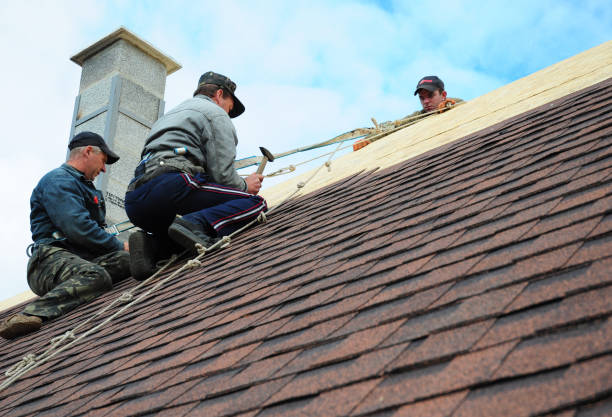 Best Metal Roofing Contractor  in Lake Kerr, FL
